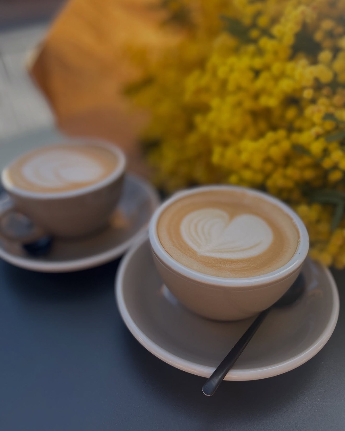Cappuccinos con flores de mimosa