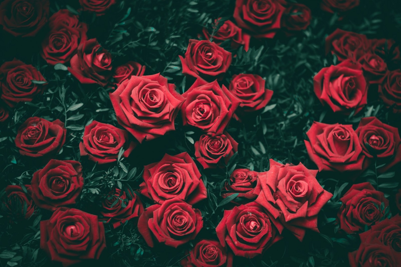 Ramo de 12 rosas rojas Red Naomi hechas a mano